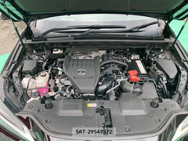 Lexus NX 2023-01 8074369-29