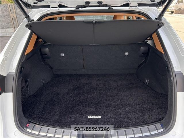 Lexus NX 2025-05 8315202-17