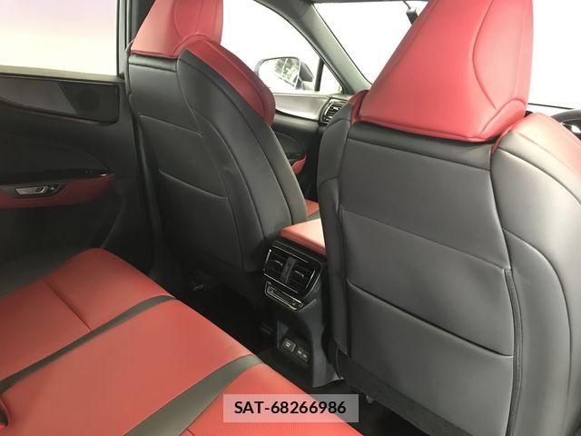 Lexus NX 2022-01 8336581-11