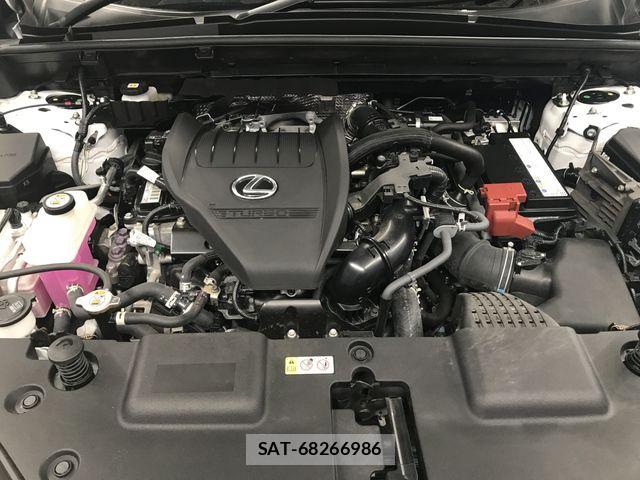 Lexus NX 2022-01 8336581-27