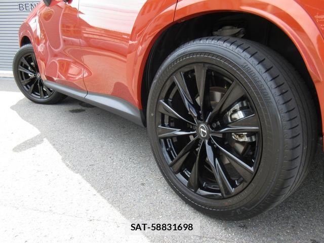 Lexus NX 2023-06 8366763-13
