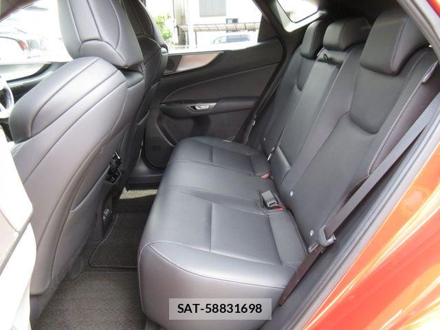 Lexus NX 2023-06 8366763-27