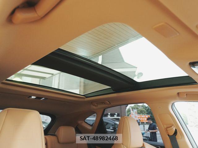 Lexus NX 2025-01 8743473-14