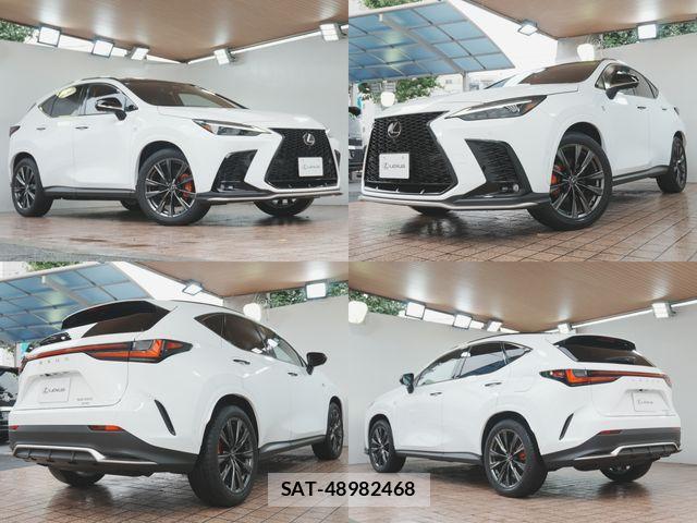 Lexus NX 2025-01 8743473-2