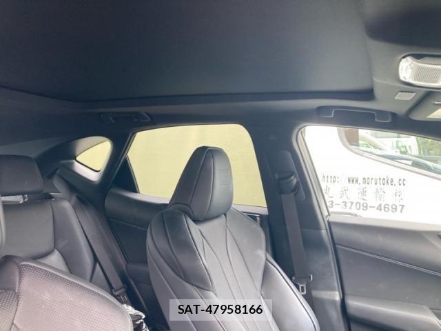 Lexus NX 2025-12 8780883-11
