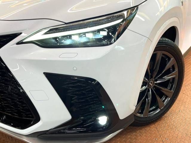 Lexus NX 2023-05 462982-14