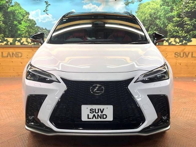 Lexus NX 2023-05 462982-16
