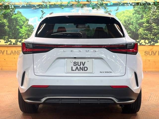 Lexus NX 2023-05 462982-17