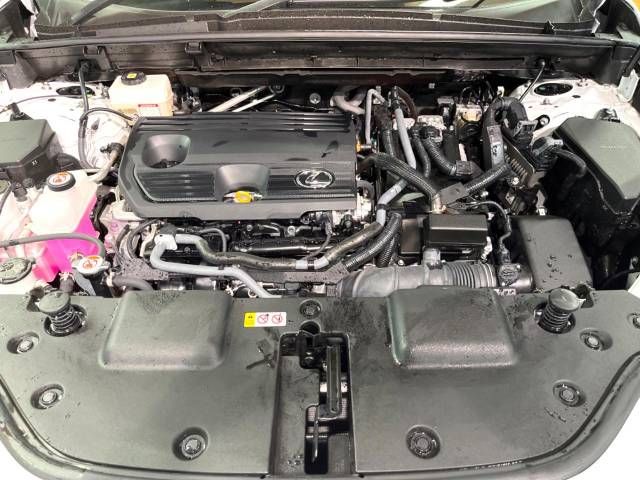 Lexus NX 2023-05 462982-18
