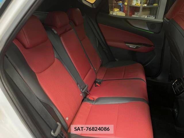 Lexus NX 2023-08 705397-11