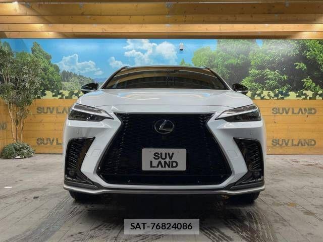 Lexus NX 2023-08 705397-15