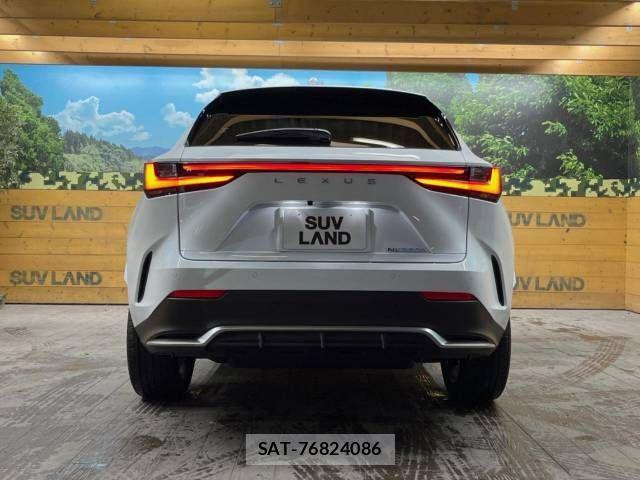 Lexus NX 2023-08 705397-16