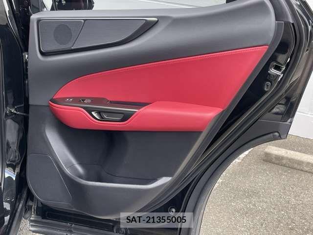 Lexus NX 2023-11 1123655-14