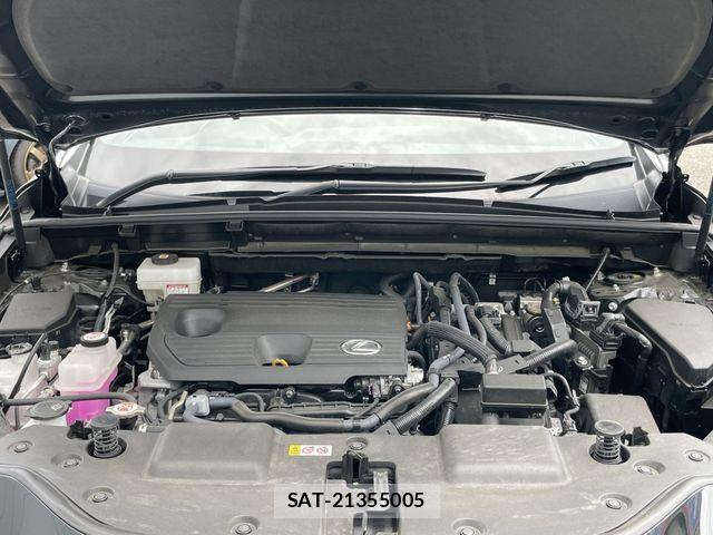 Lexus NX 2023-11 1123655-28