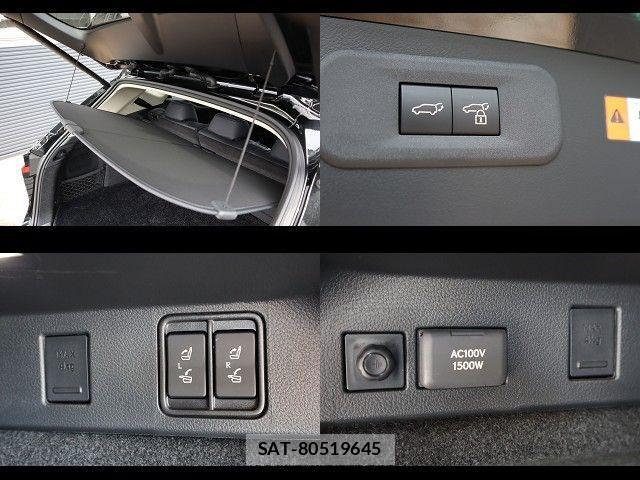 Lexus NX 2024-09 1207176-24