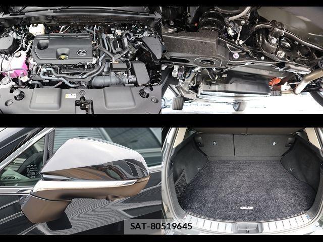 Lexus NX 2024-09 1207176-27