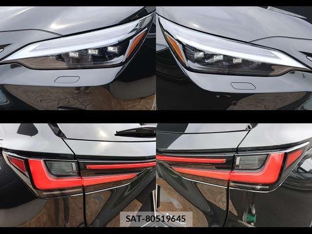 Lexus NX 2024-09 1207176-28