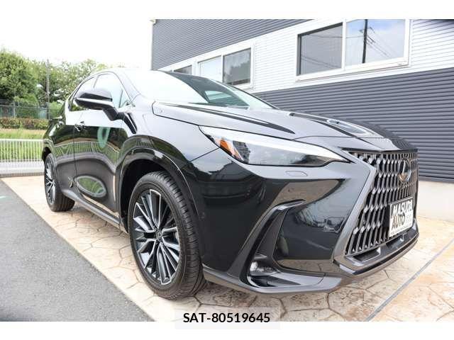 Lexus NX 2024-09 1207176-2