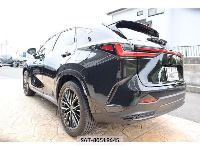 Lexus NX 2024-09 1207176-4