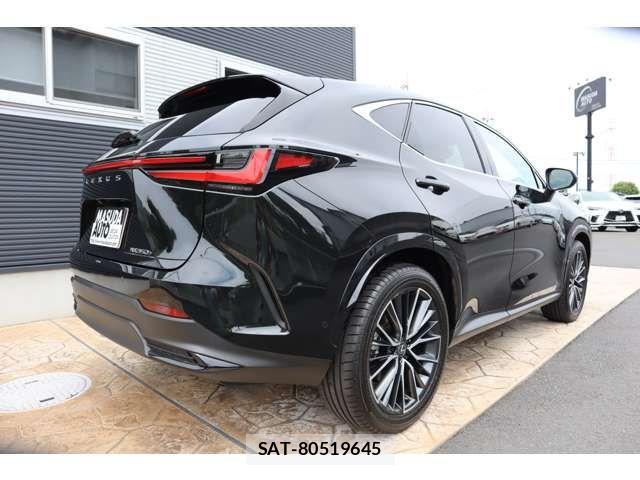 Lexus NX 2024-09 1207176-6