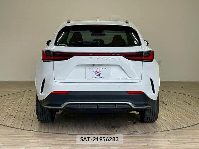 Lexus NX 2022-11 1744639-15