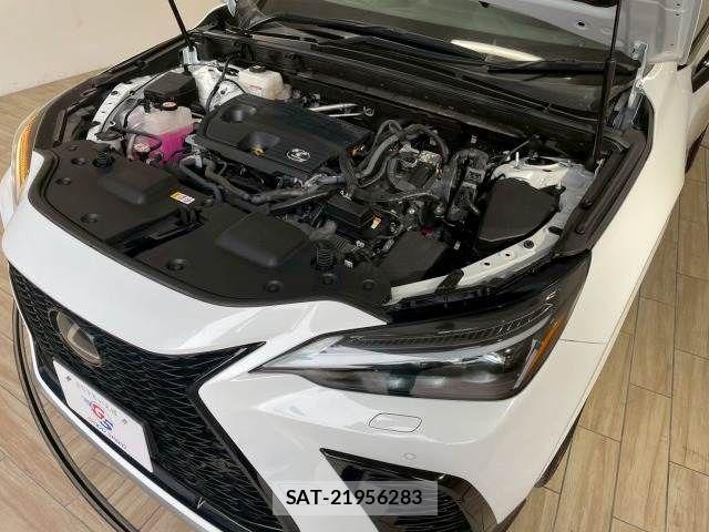 Lexus NX 2022-11 1744639-19