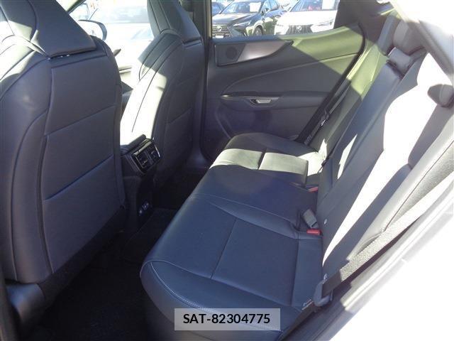 Lexus NX 2023-12 2963013-11