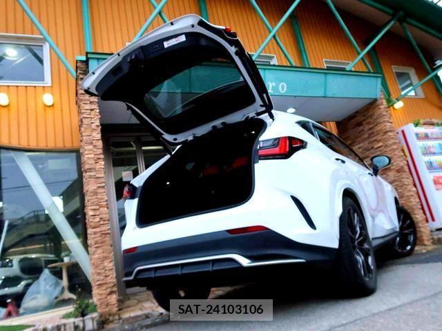 Lexus NX 2021-12 3421833-2