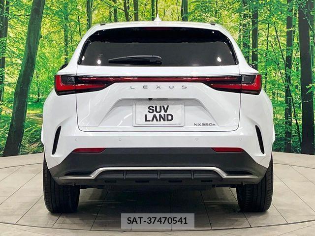 Lexus NX 2023-02 3907206-14
