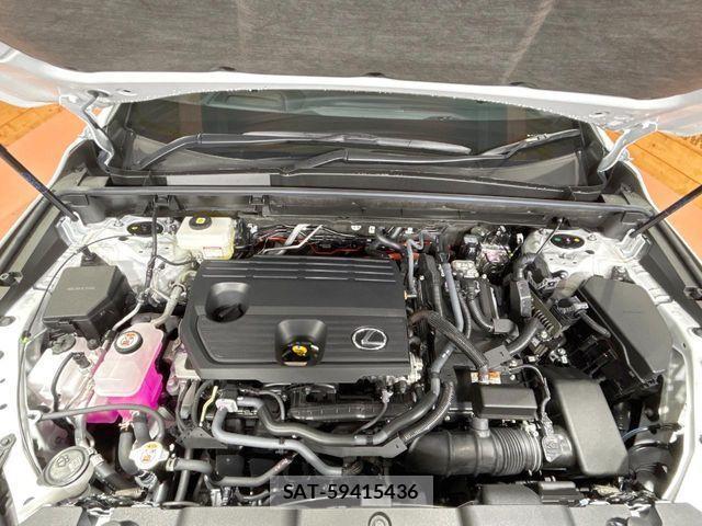 Lexus NX 2024-07 4044741-17
