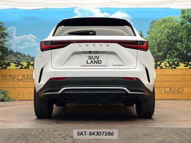 Lexus NX 2023-03 4595616-14