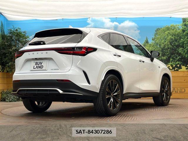Lexus NX 2023-03 4595616-16