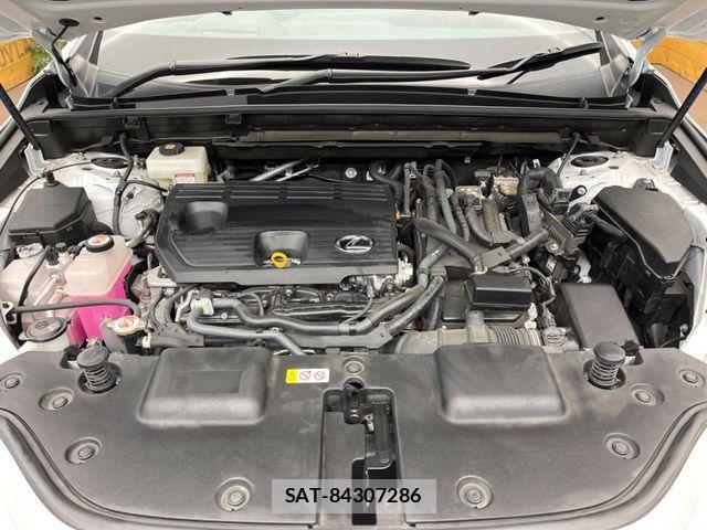 Lexus NX 2023-03 4595616-17