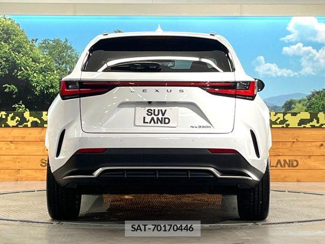 Lexus NX 2023-03 5871084-14