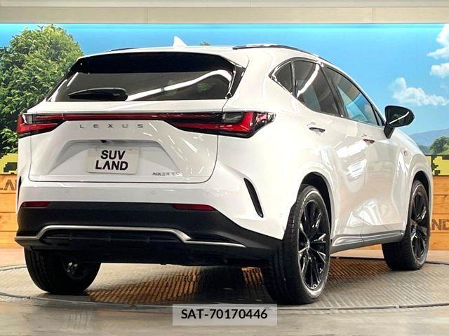 Lexus NX 2023-03 5871084-16