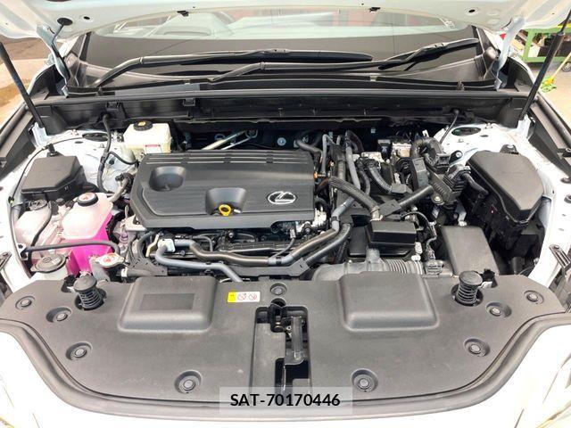 Lexus NX 2023-03 5871084-17