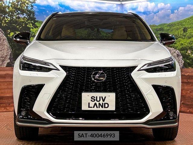 Lexus NX 2025-01 6245243-13