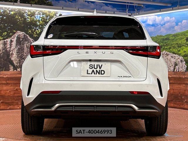 Lexus NX 2025-01 6245243-14