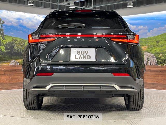Lexus NX 2024-09 6272148-14