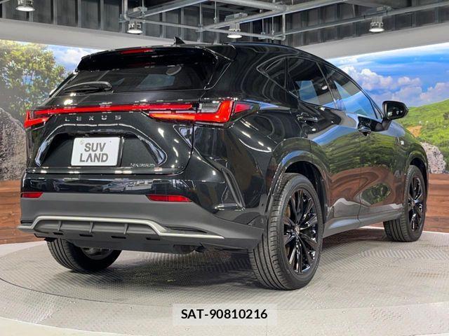 Lexus NX 2024-09 6272148-16