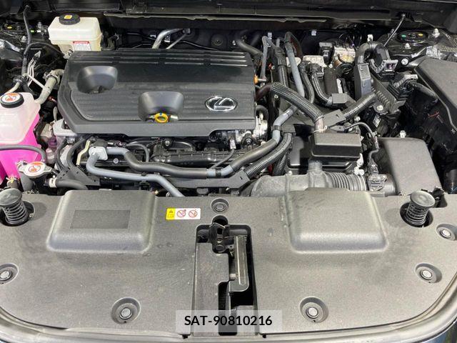 Lexus NX 2024-09 6272148-17