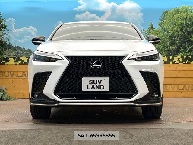 Lexus NX 2024-08 6499602-13