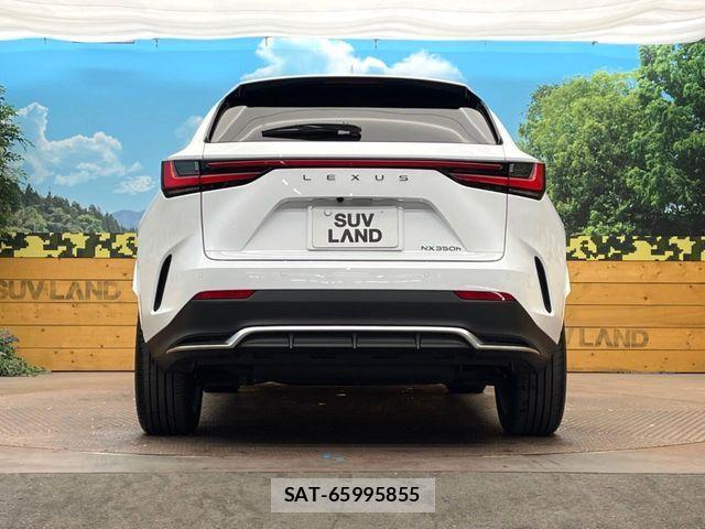 Lexus NX 2024-08 6499602-14