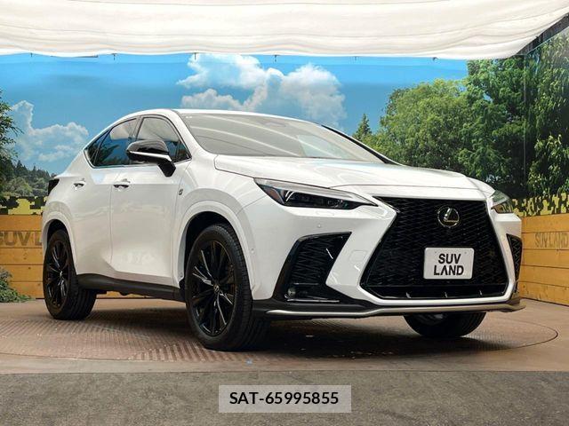 Lexus NX 2024-08 6499602-15