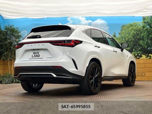 Lexus NX 2024-08 6499602-16