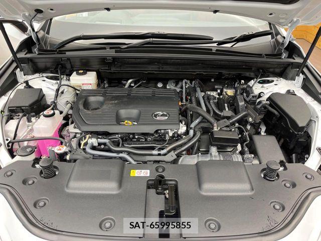 Lexus NX 2024-08 6499602-17
