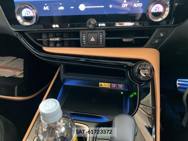 Lexus NX 2025-07 6612910-19
