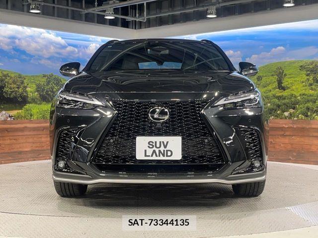 Lexus NX 2024-09 6672289-13