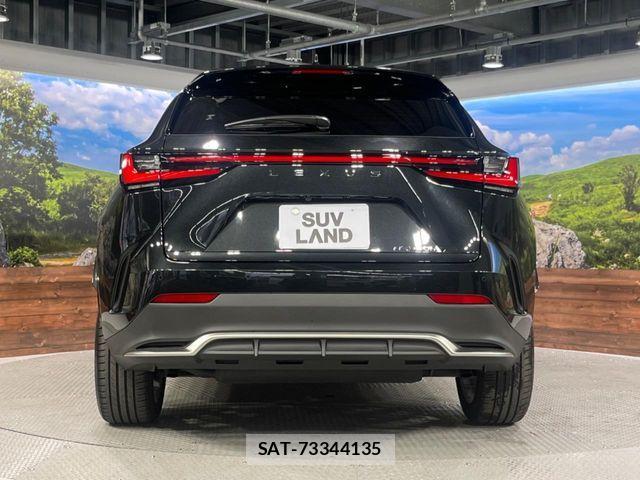 Lexus NX 2024-09 6672289-14