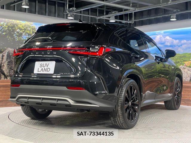 Lexus NX 2024-09 6672289-16
